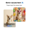 Вид 10